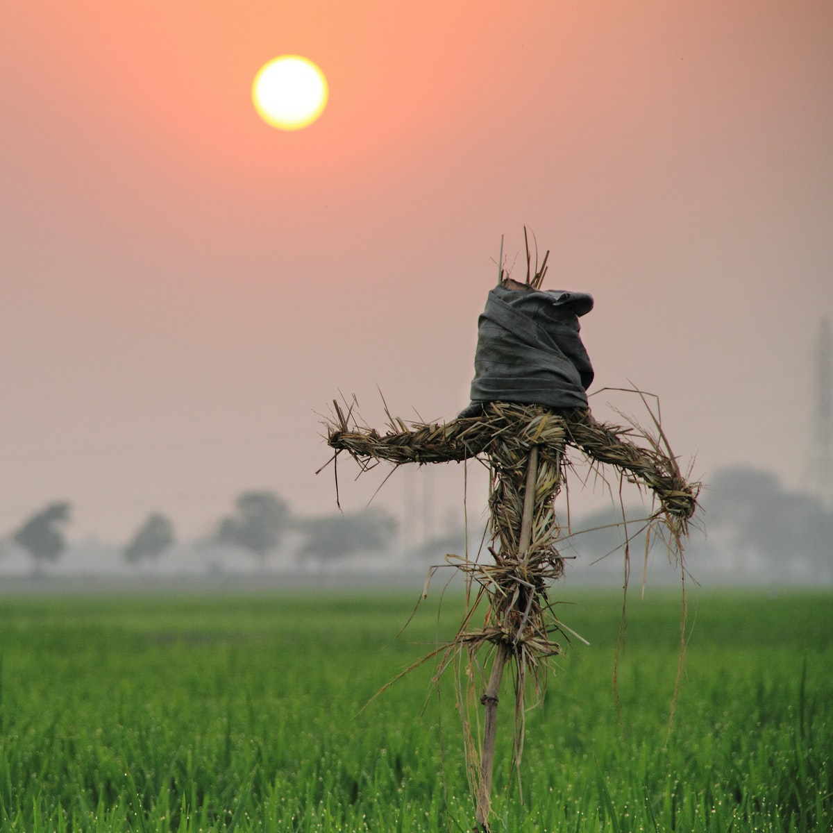 Bangladesh